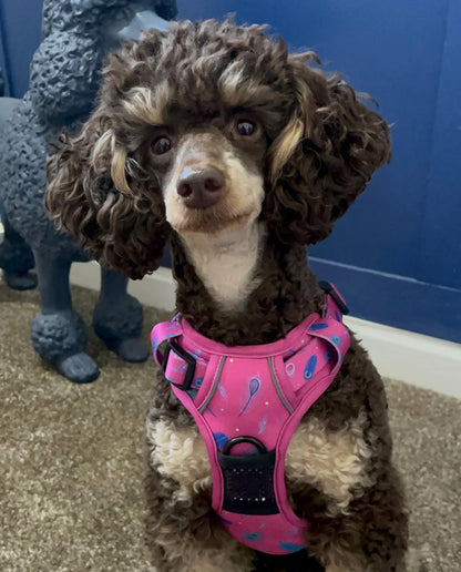 Peacock Power No Pull Tactical Dog Harness – Pink Peacock Feather Print, Adjustable, Step-In (Small-XL) - The Bark Market