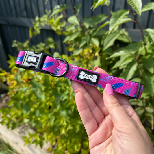 Peacock Power Dog Collar: Stylish, Durable, and Comfortable for Your Dog - The Bark Market