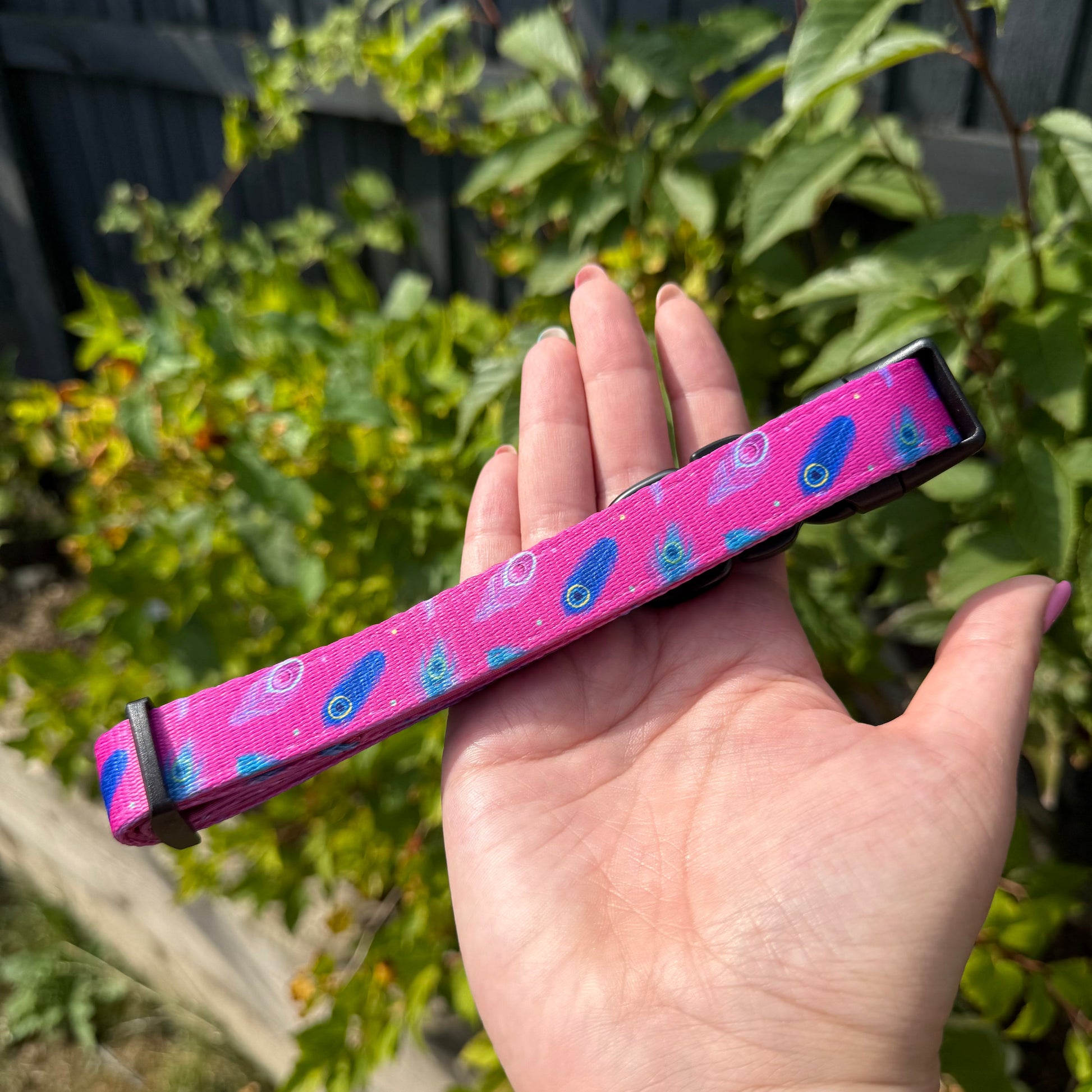 Peacock Power Dog Collar: Stylish, Durable, and Comfortable for Your Dog - The Bark Market