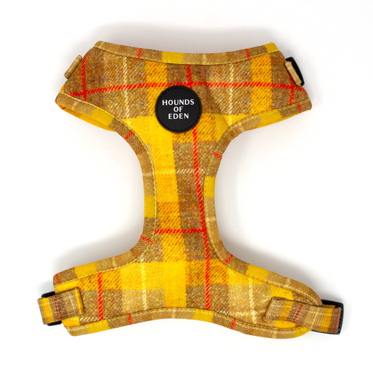 'Honey' - Yellow Check Dog Harness - The Bark Market