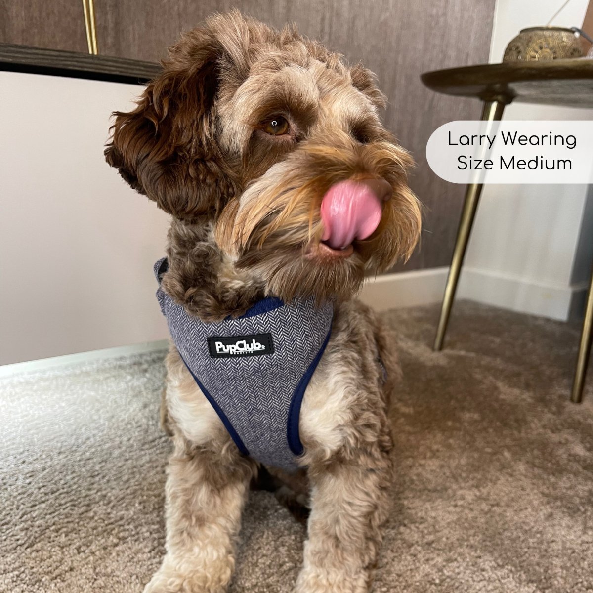 Tweed Adjustable Harness - Blue - The Bark Market