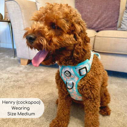 Rugged Rover™ Harness - Pastel Daisy - The Bark Market