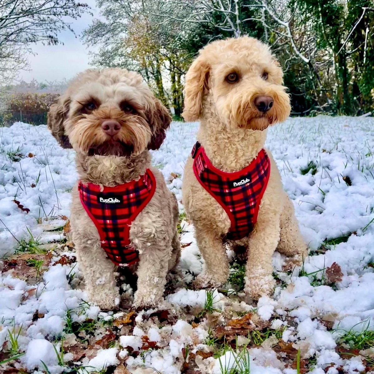 Adjustable Harness - Red Tartan - The Bark Market