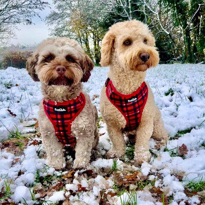 Adjustable Harness - Red Tartan - The Bark Market