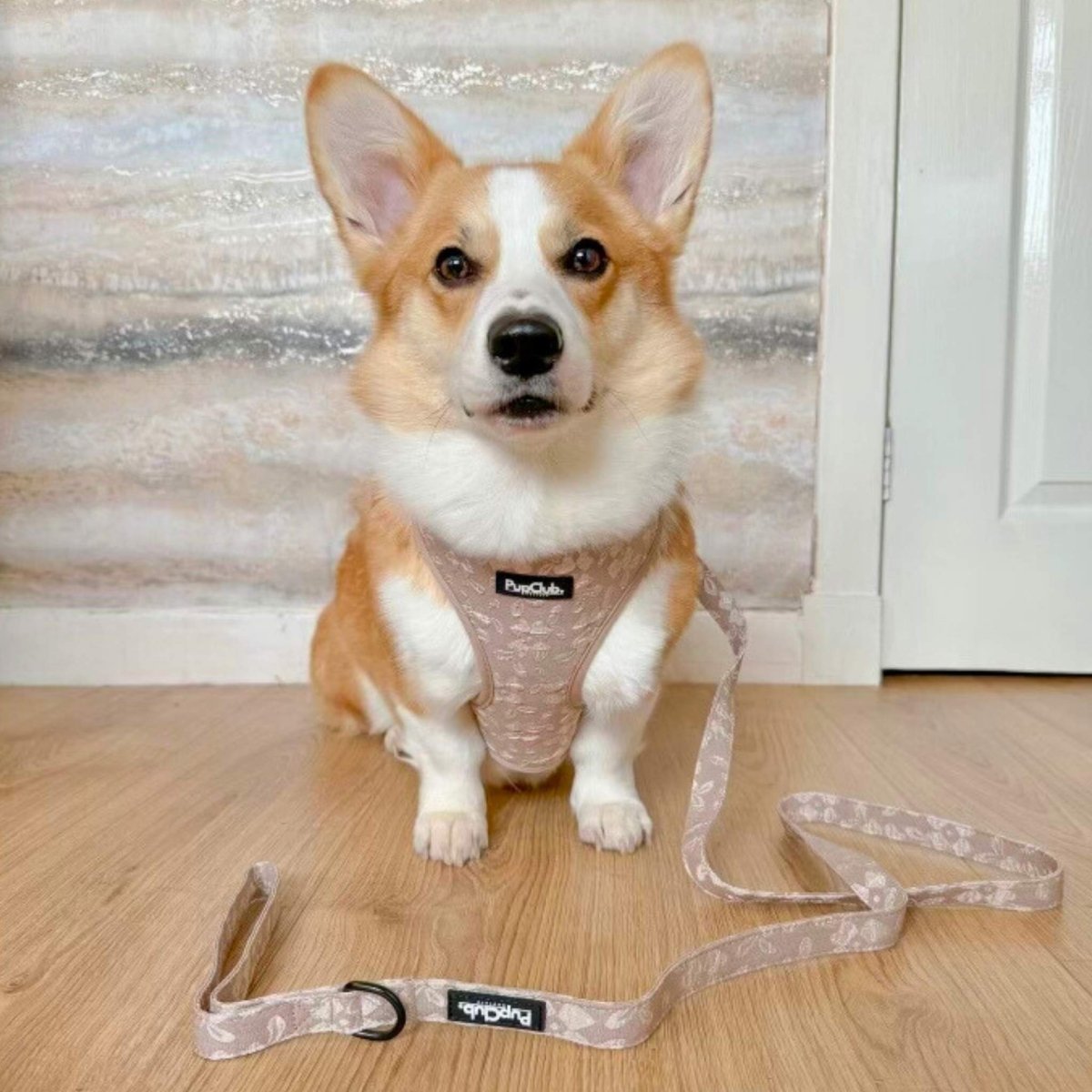 Luxe Adjustable Harness - Toffee Latte Petals - The Bark Market