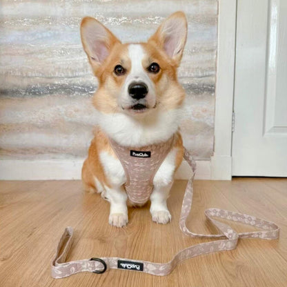Luxe Adjustable Harness - Toffee Latte Petals - The Bark Market
