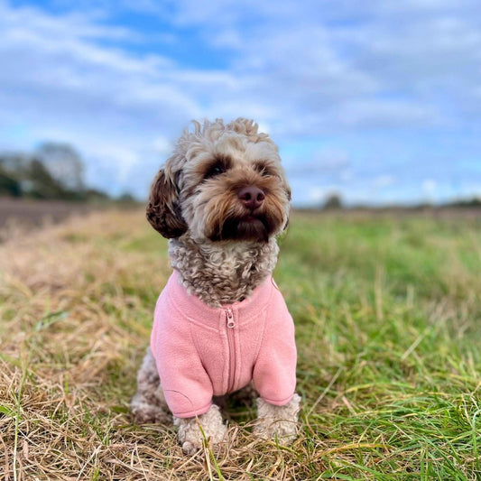 Dog Fleece Coat - Pale Pink - The Bark Market
