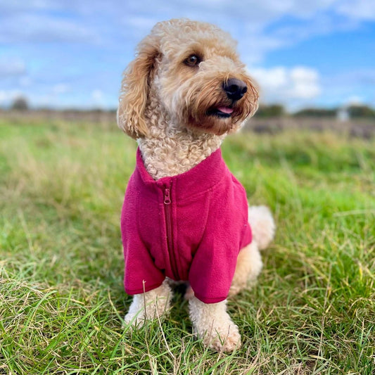 Dog Fleece Coat - Berry Red - The Bark Market