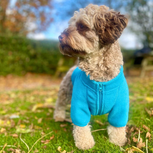 Dog Fleece Coat - Blue - The Bark Market
