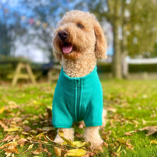 Dog Fleece Coat - Green - The Bark Market