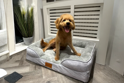 The Belgravia Orthopaedic Dog Sofa™ - Medium