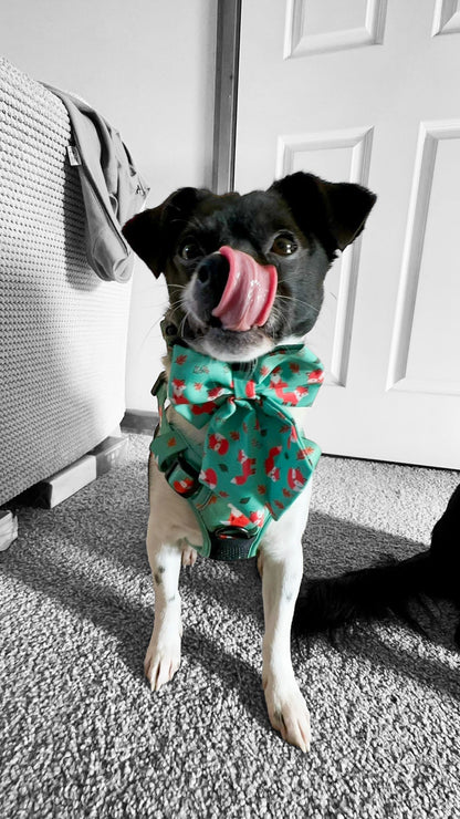 Inquisitive Fox Sailor Bow Tie for Dog - The Bark Market