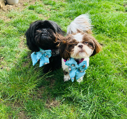Otterly Lovely Sailor bow 🦦💙 - The Bark Market