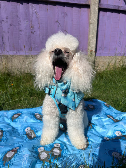 Otterly Lovely Tactical Dog Harness – No Pull &  Fully Adjustable - The Bark Market