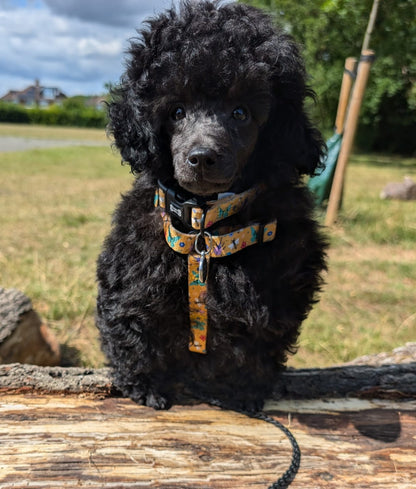 Summer Buzzin’ puppy, chihuahua, kitten, rabbit, teacup XXXS strap harness - The Bark Market