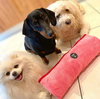 Strawberry Patch - Dog Towel + Carry Bag - The Bark Market