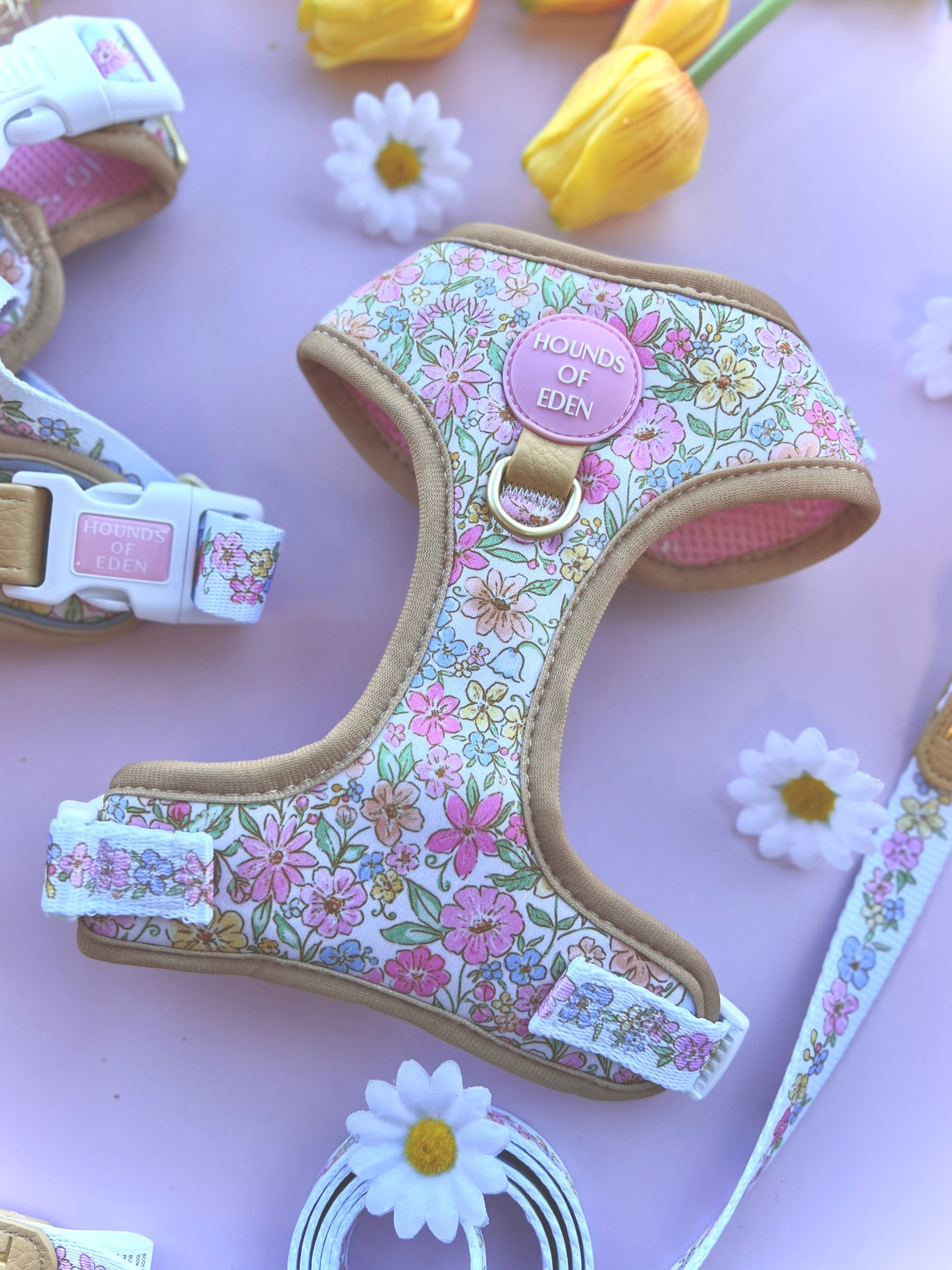 Pastel Petals - Dog Harness (XXS-XS) - The Bark Market