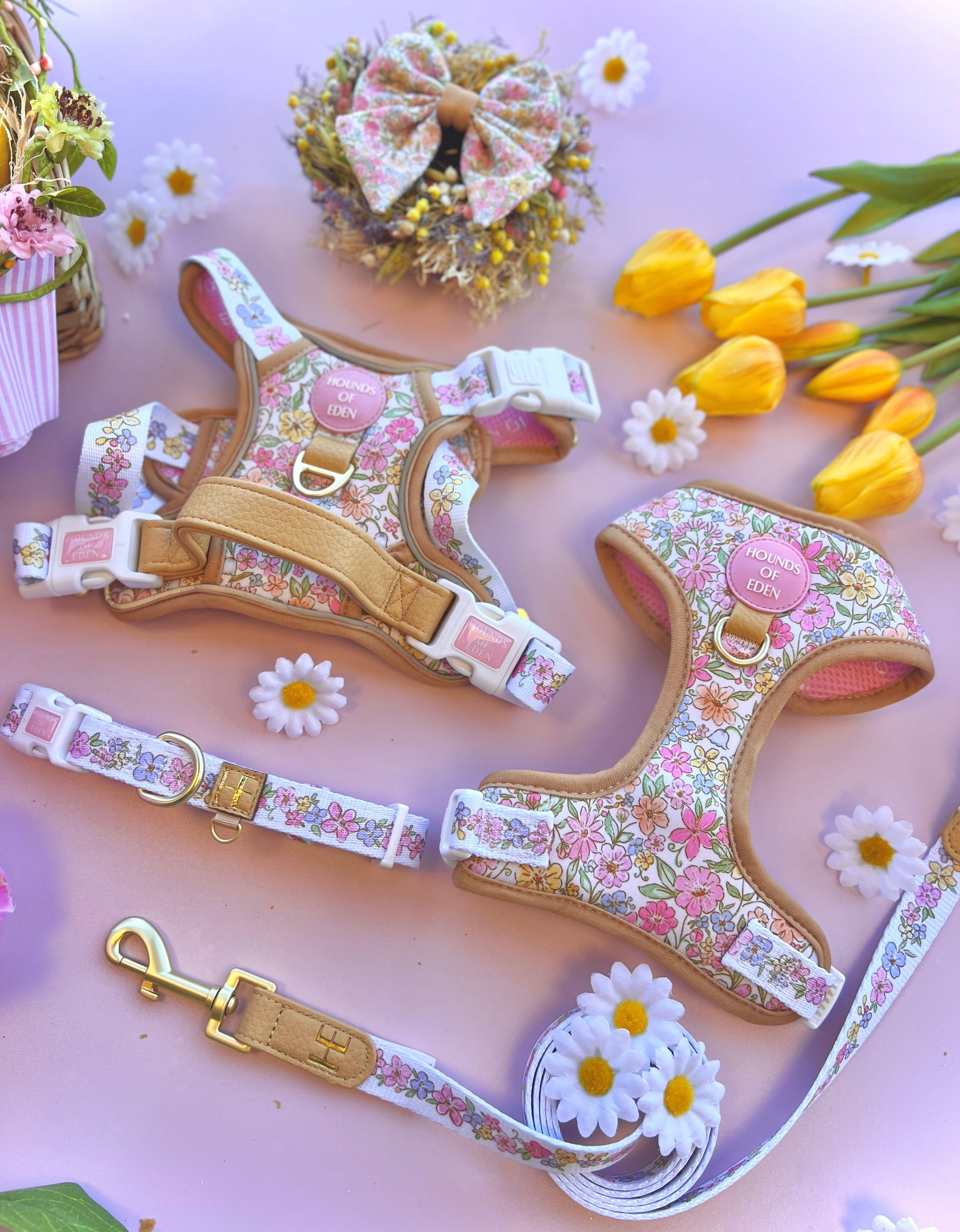 Pastel Petals - Dog Collar + ID Tag Holder - The Bark Market
