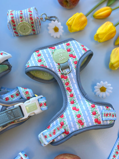 Eden's Orchard - Adjustable Dog Harness (XXS-XS) - The Bark Market