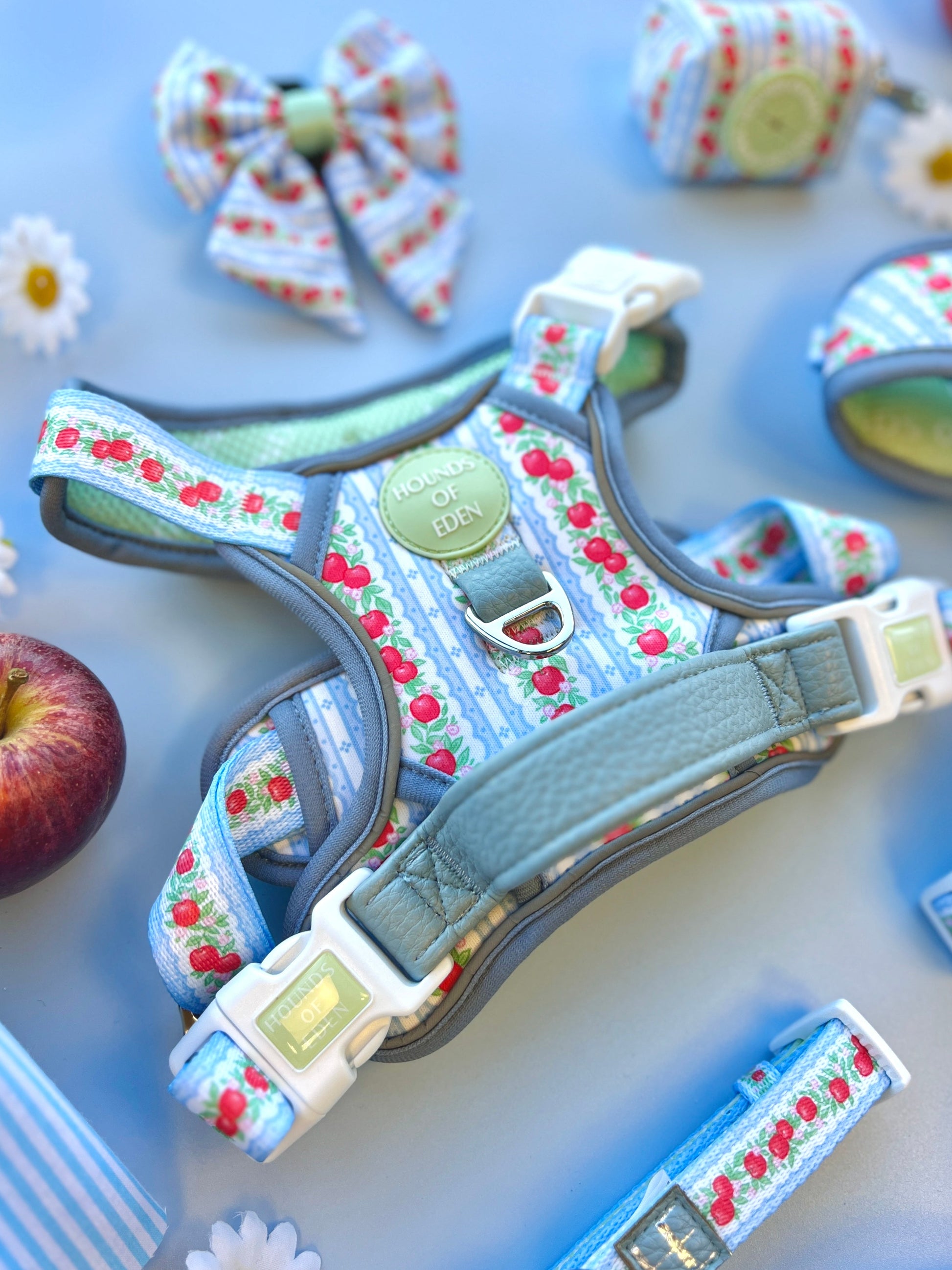 Eden's Orchard - Dog Collar + ID Tag Holder - The Bark Market