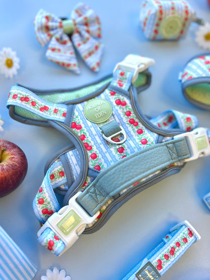 Eden's Orchard - Dog Collar + ID Tag Holder - The Bark Market