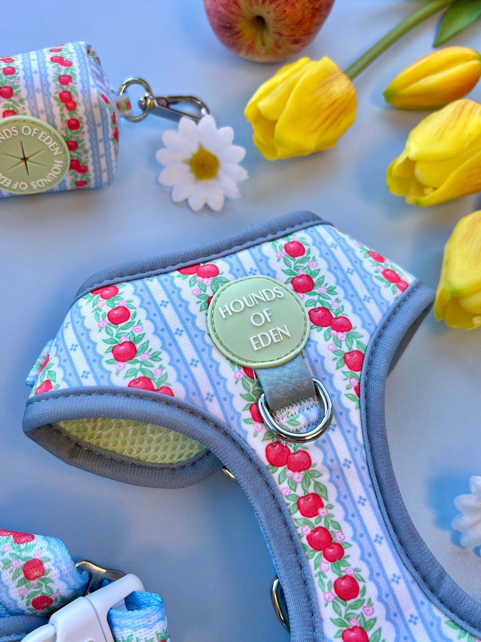 Eden's Orchard - Dog Collar + ID Tag Holder - The Bark Market