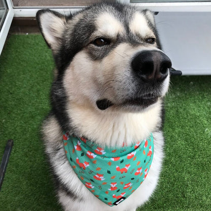 Inquisitive Fox Cooling Bandana - The Bark Market