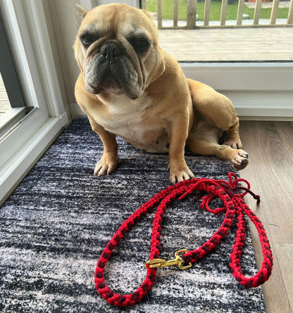 Heart Pattern Red Valentine's Day Make Your Own Dog Lead Craft Kit