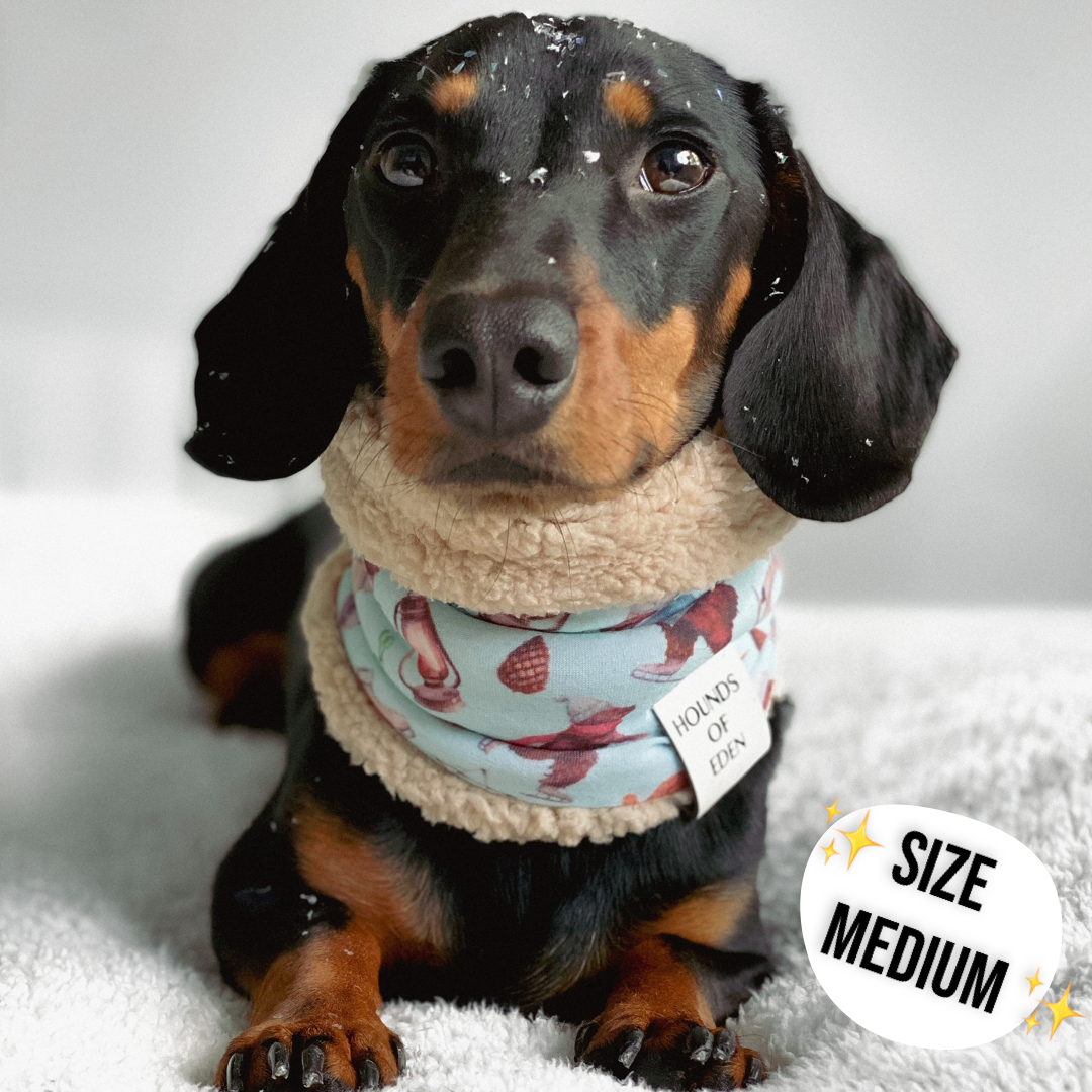 Arctic Wonderland Dog Snood - The Bark Market