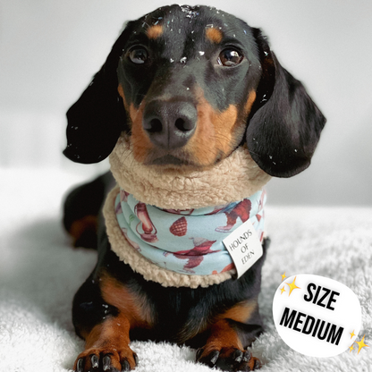 Autumn Blossom - Dog Snood - The Bark Market