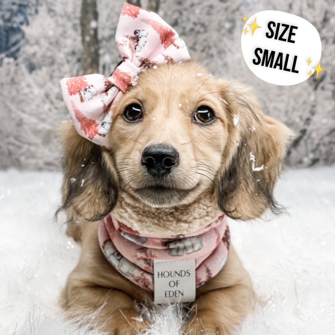 Autumn Blossom - Dog Snood - The Bark Market