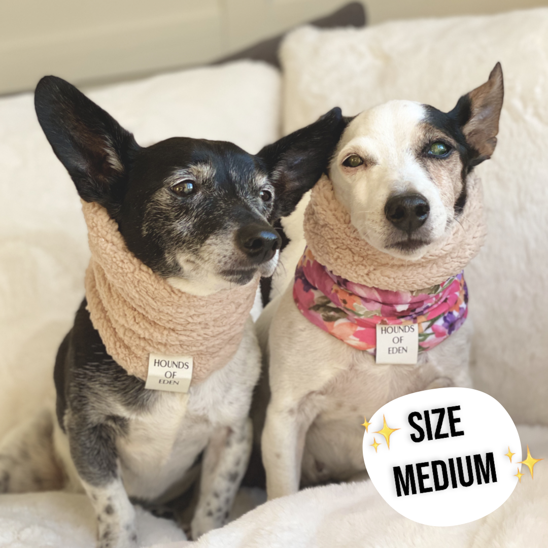 Autumn Blossom - Dog Snood - The Bark Market