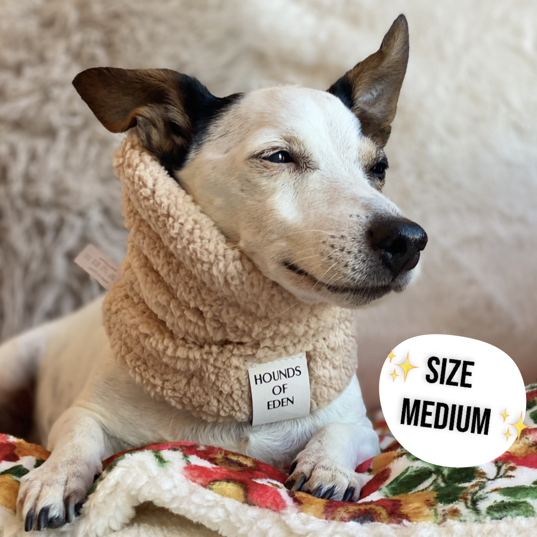 Arctic Wonderland Dog Snood - The Bark Market