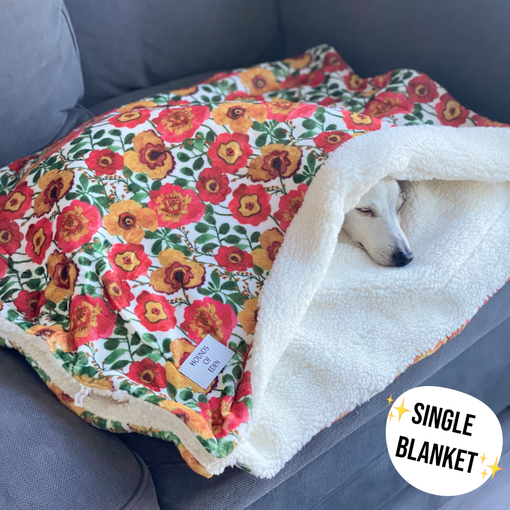 Florentina Snuggle Blanket - The Bark Market