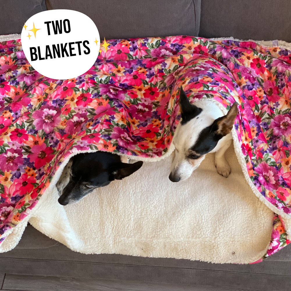 Florentina Snuggle Blanket - The Bark Market