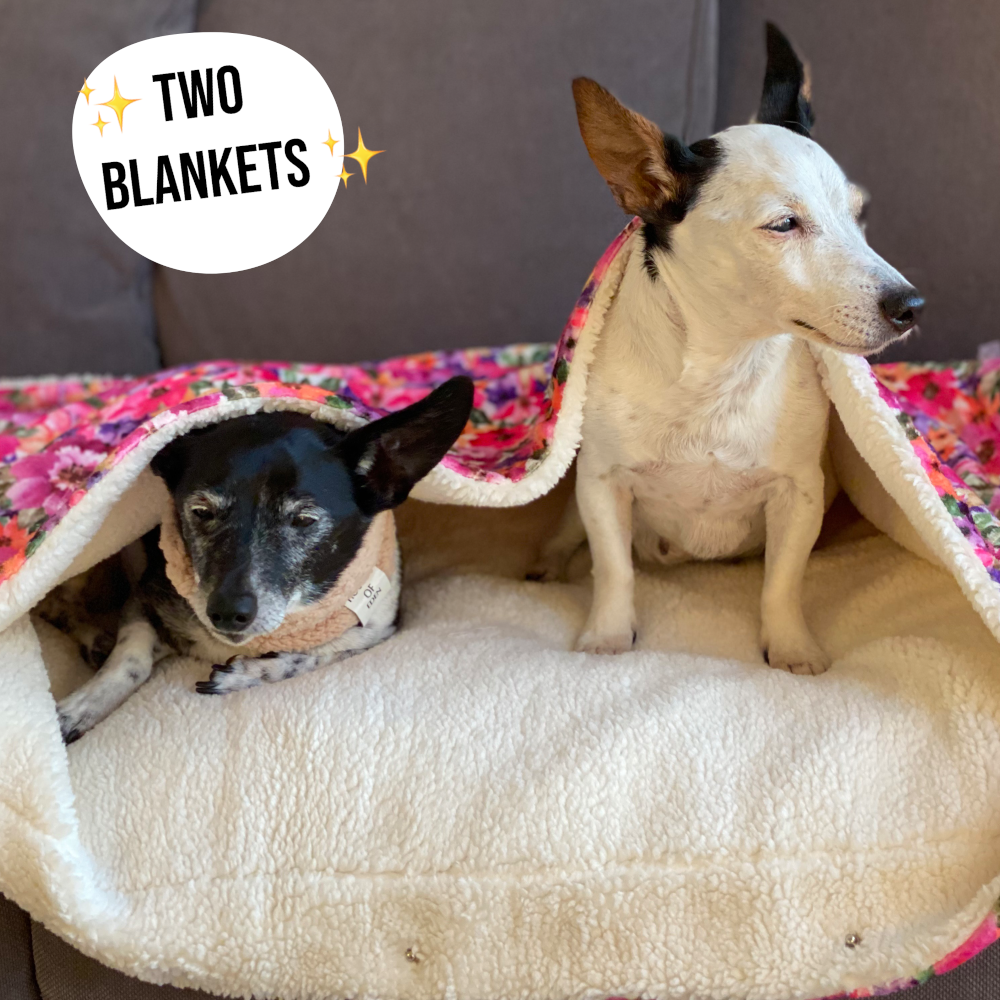 Florentina Snuggle Blanket - The Bark Market