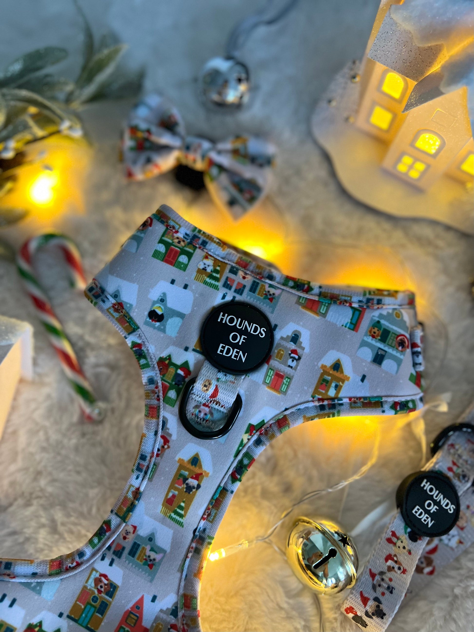 Doggy in the Window Design Dog Collar - The Bark Market