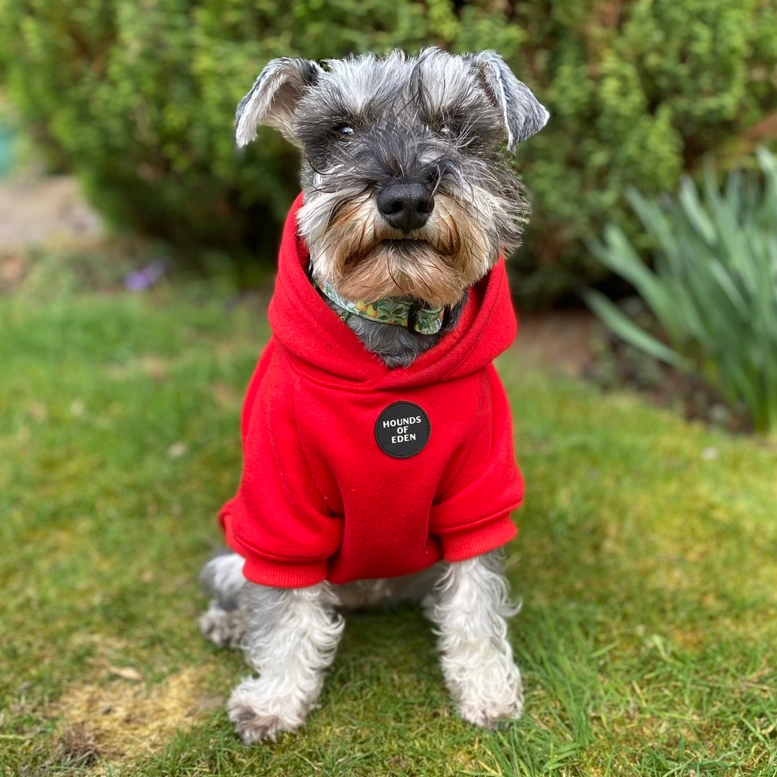 Dog Hoodie - Red - The Bark Market