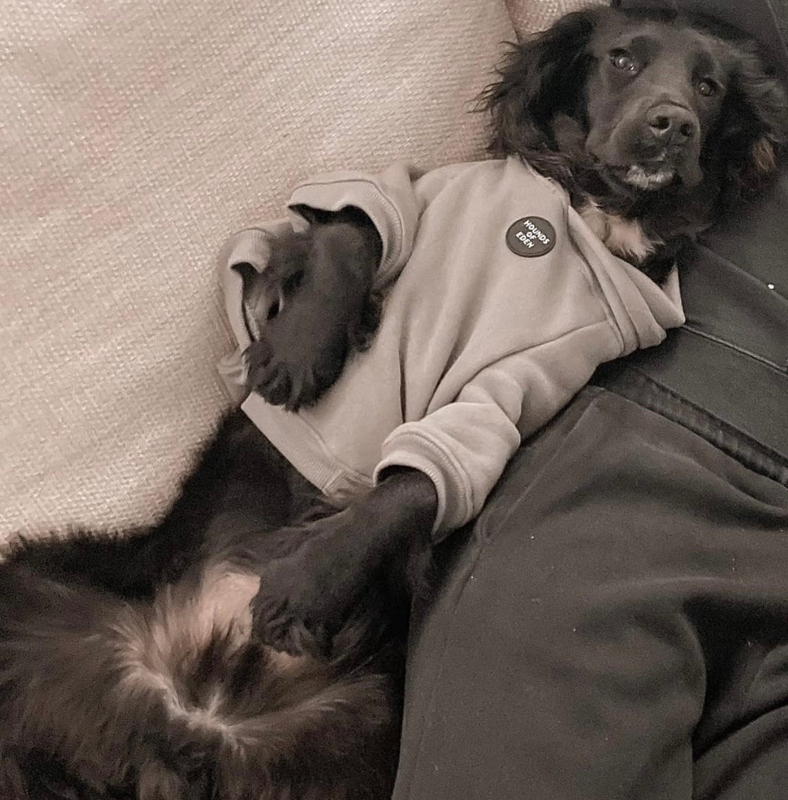 Dog Hoodie - Grey - The Bark Market