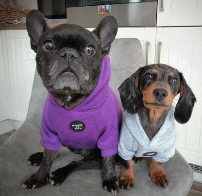 Dog Hoodie - Sky Blue - The Bark Market