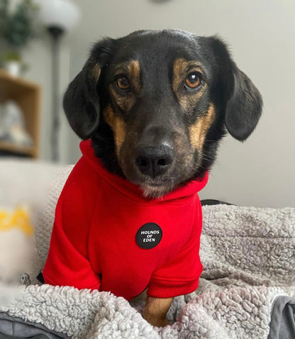 Dog Hoodie - Red - The Bark Market