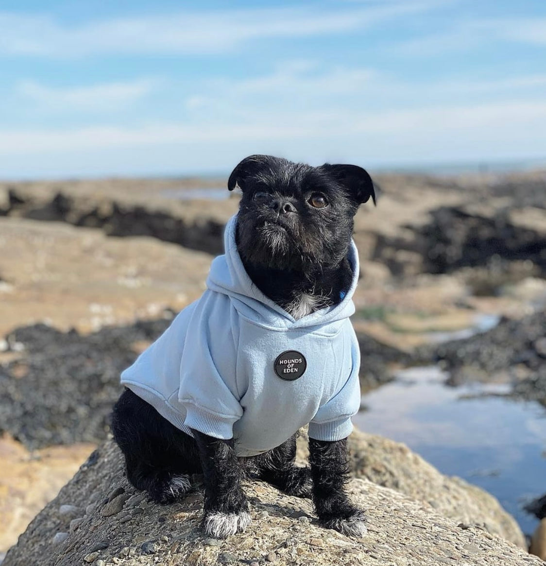Dog Hoodie - Sky Blue - The Bark Market