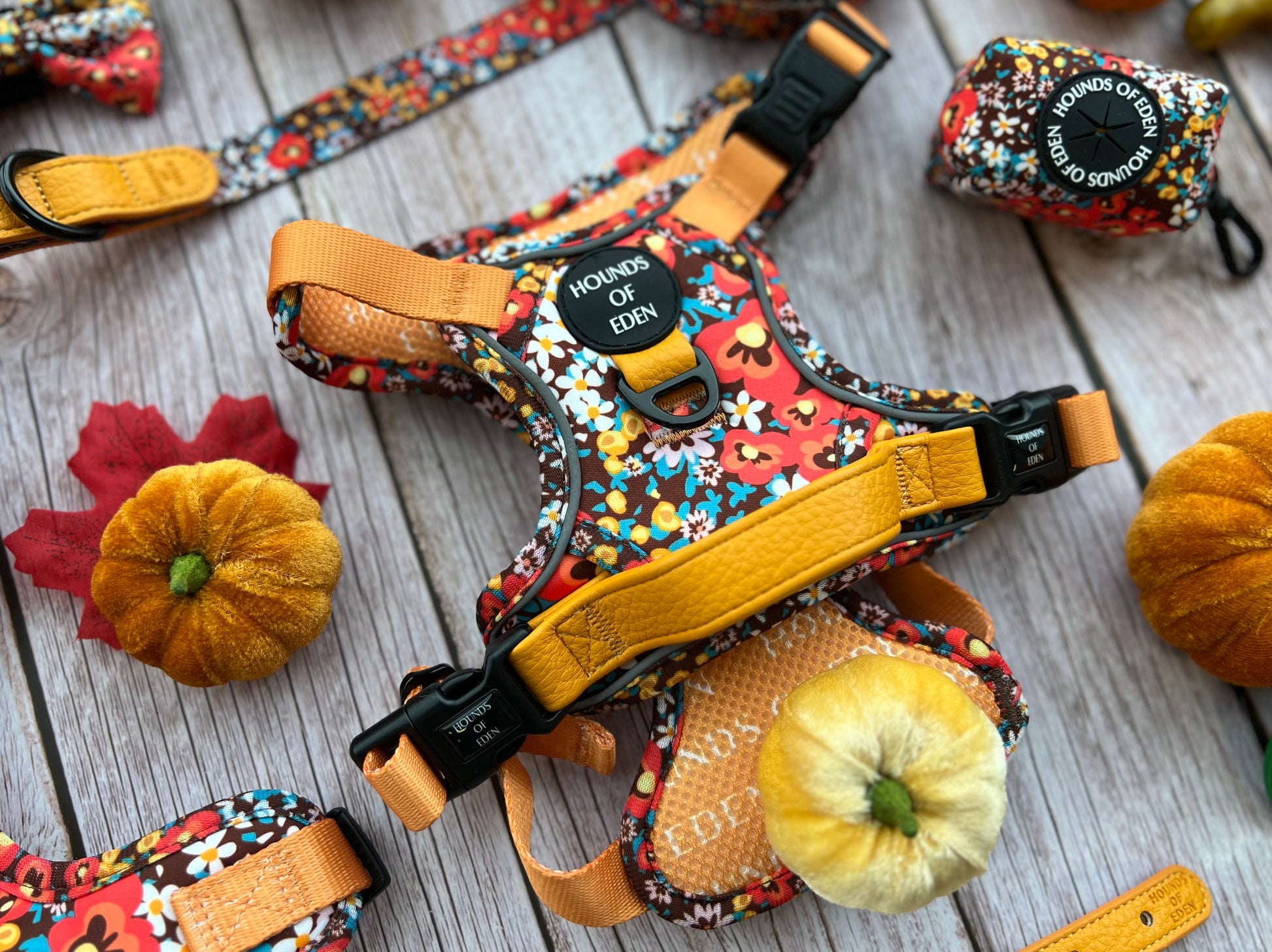 Retro Bloom Dog Supaw Strong Lite™ Harness (XS-XL) - The Bark Market