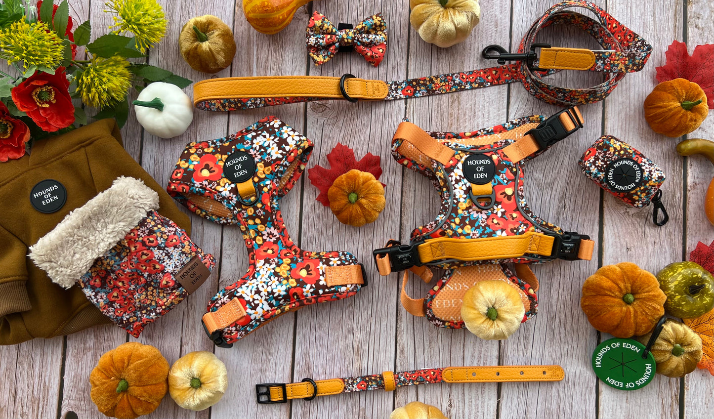 Retro BloomDesign Dog Bow Tie - The Bark Market