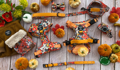 Retro BloomDesign Dog Bow Tie - The Bark Market