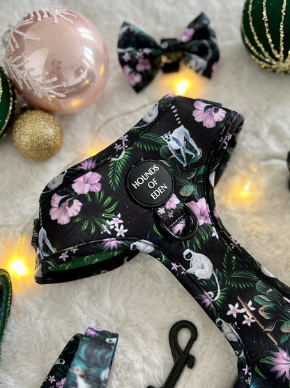 Midnight Madagascar Design Dog Bow Tie - The Bark Market