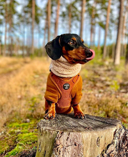 Dog Hoodie - Brown - The Bark Market
