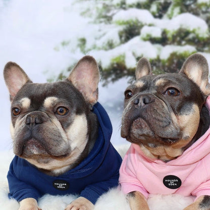 Dog Hoodie - Charcoal Grey - The Bark Market