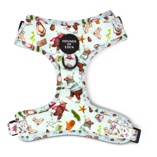 Teddy it's Cold Outside - Dog Harness - The Bark Market