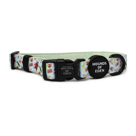 Teddy it's Cold Outside Dog Collar - The Bark Market